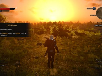Witcher 3 Wild Hunt Screenshot 106