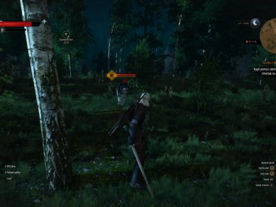 Witcher 3 Wild Hunt Screenshot 107