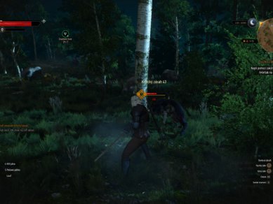 Witcher 3 Wild Hunt Screenshot 108