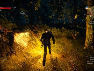 Witcher 3 Wild Hunt Screenshot 109