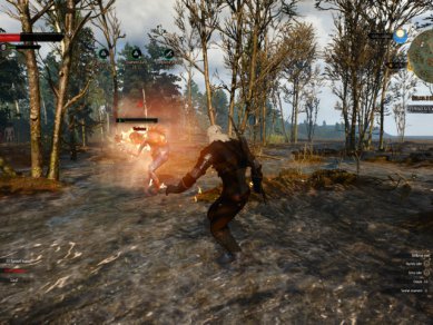 Witcher 3 Wild Hunt Screenshot 112