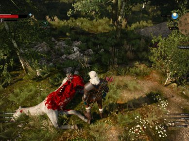 Witcher 3 Wild Hunt Screenshot 113