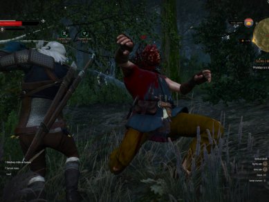 Witcher 3 Wild Hunt Screenshot 114