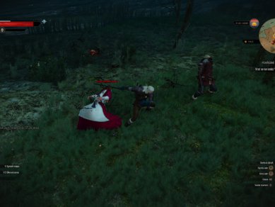 Witcher 3 Wild Hunt Screenshot 115