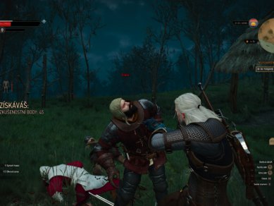 Witcher 3 Wild Hunt Screenshot 116