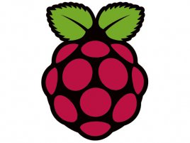 01_raspberry-pi-logo_cdr