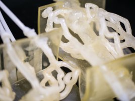 3 D Printed Vascular System Stratasys