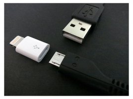 Apple_lightning_micro_USB