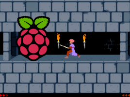 dos_raspi