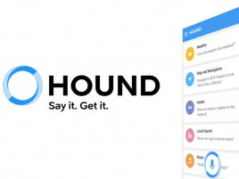 Hound