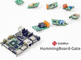 Hummingboard Gate 02 E 1442861304794