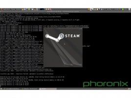 Phoronix - steam on Linux