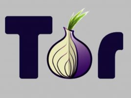 tor-the-onion-network