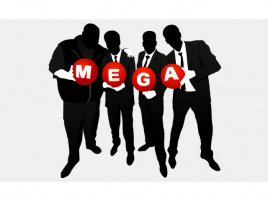 mega dotcom