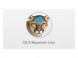 mountain_lion