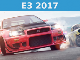 Nfs Payback E 317