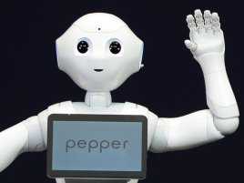 Pepper Robot 2