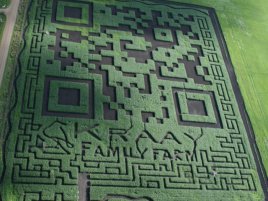 qr code farma