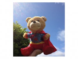 supertoy teddy