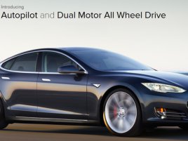 Tesla Model S P 85 D