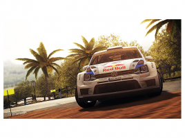 wrc4-flash