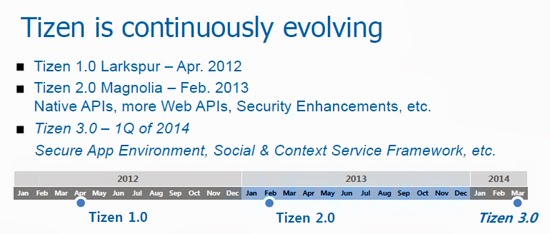 TIZEN Indonesia 3.0 March 2014